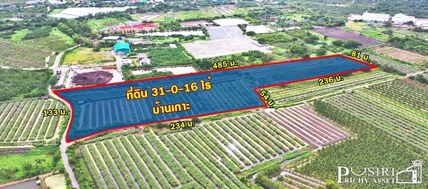 ที่ 31 ไร่ หน้ากว้าง 133 เมตร ราคาคุ้มสุดในตลาดเชื่อมต่อหลายเส้นทาง ถนนสวนส้ม บางปลา และพระราม 2