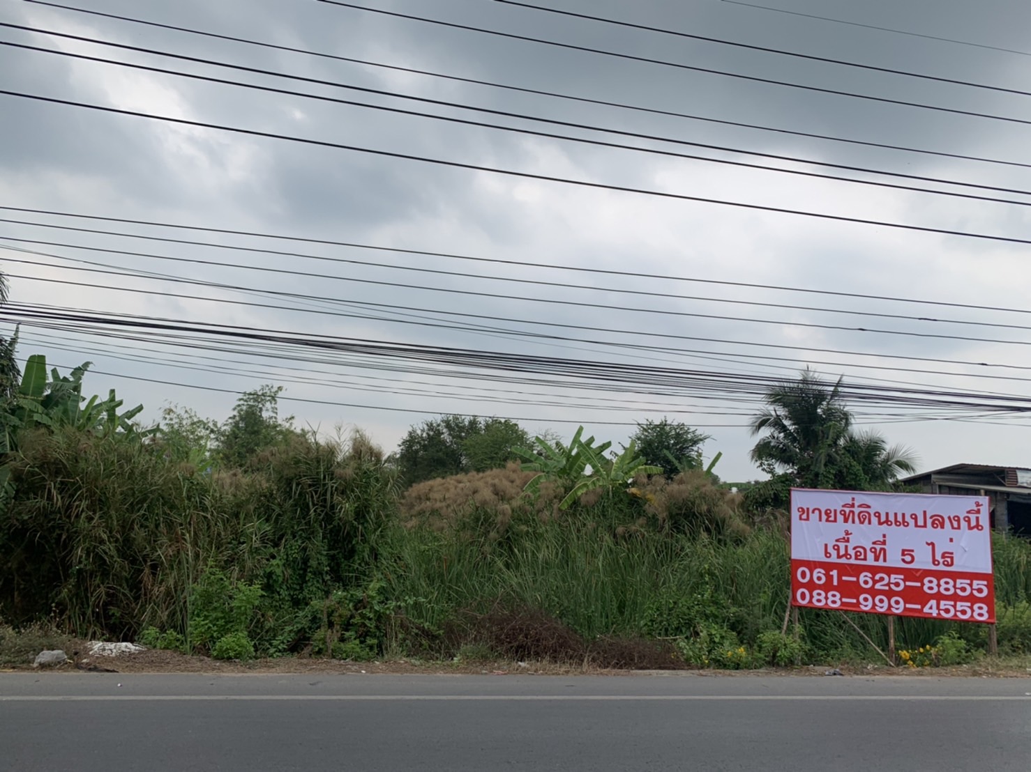 Agent post ขายที่ดิน 5 ไร่ ทรงสี่เหลี่ยมผืนผ้า 