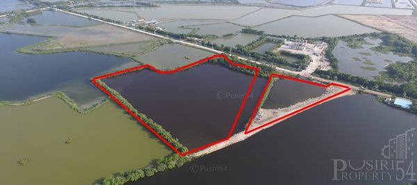 ขาย ที่ดิน 21ไร่เศษ ติดถนนเส้นสหกรณ์จัดสรรและวางแนวถนนได้ง่าย ขยายกว้างด้านหลังใกล้สถานที่สำคัญหลายแห่ง เพียงไร่ละ 1.5 ล้าน - KK3250S