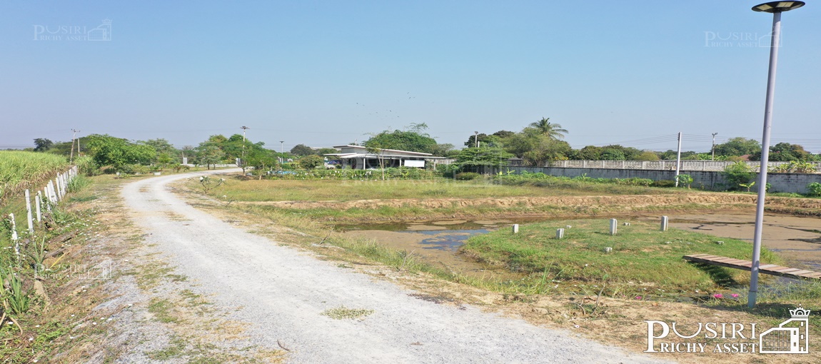 บ้านสวน 10 ไร่ ใกล้มอเตอร์เวย์บางใหญ่ บ้านใหม่ย้ายเข้าอยู่ได้ทันดี ลมเย็นตลอดวัน เงียบสงบ ซื้อทำกำไรได้