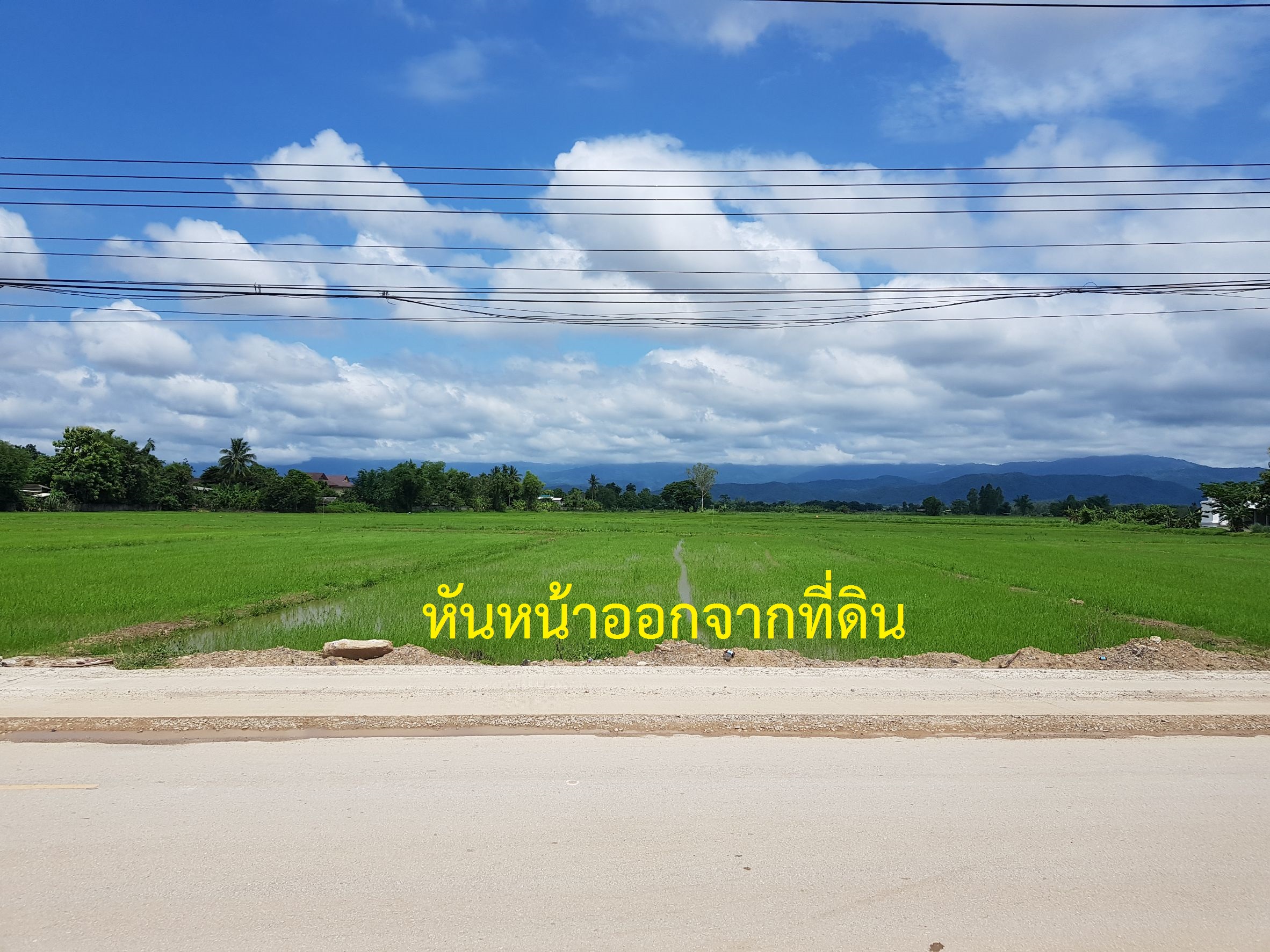 ขายที่ดินเปล่าใกล้วัดร่องขุ่น อ.เมือง จ.เชียงราย