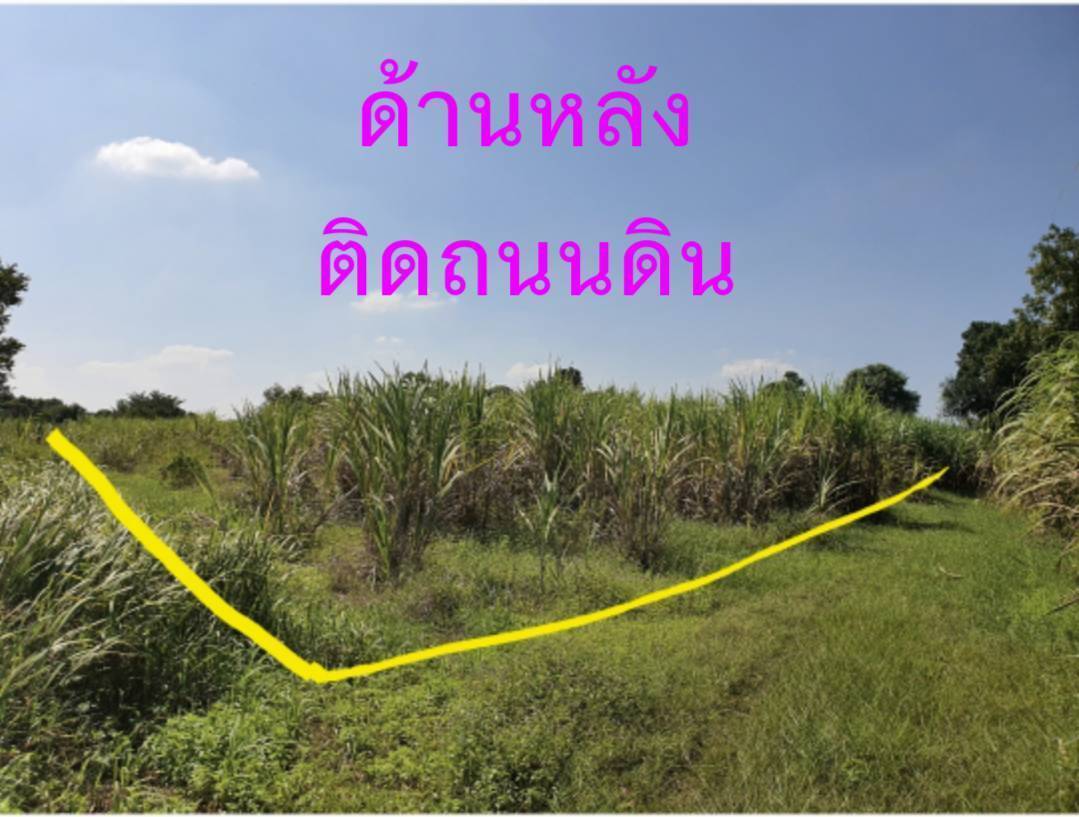 ขายที่ดิน 5 ไร่ 2 งาน 97 ตรว. ต.ปากช่อง อ.จอมบึง ราชบุรี ฟรีค่าโอน