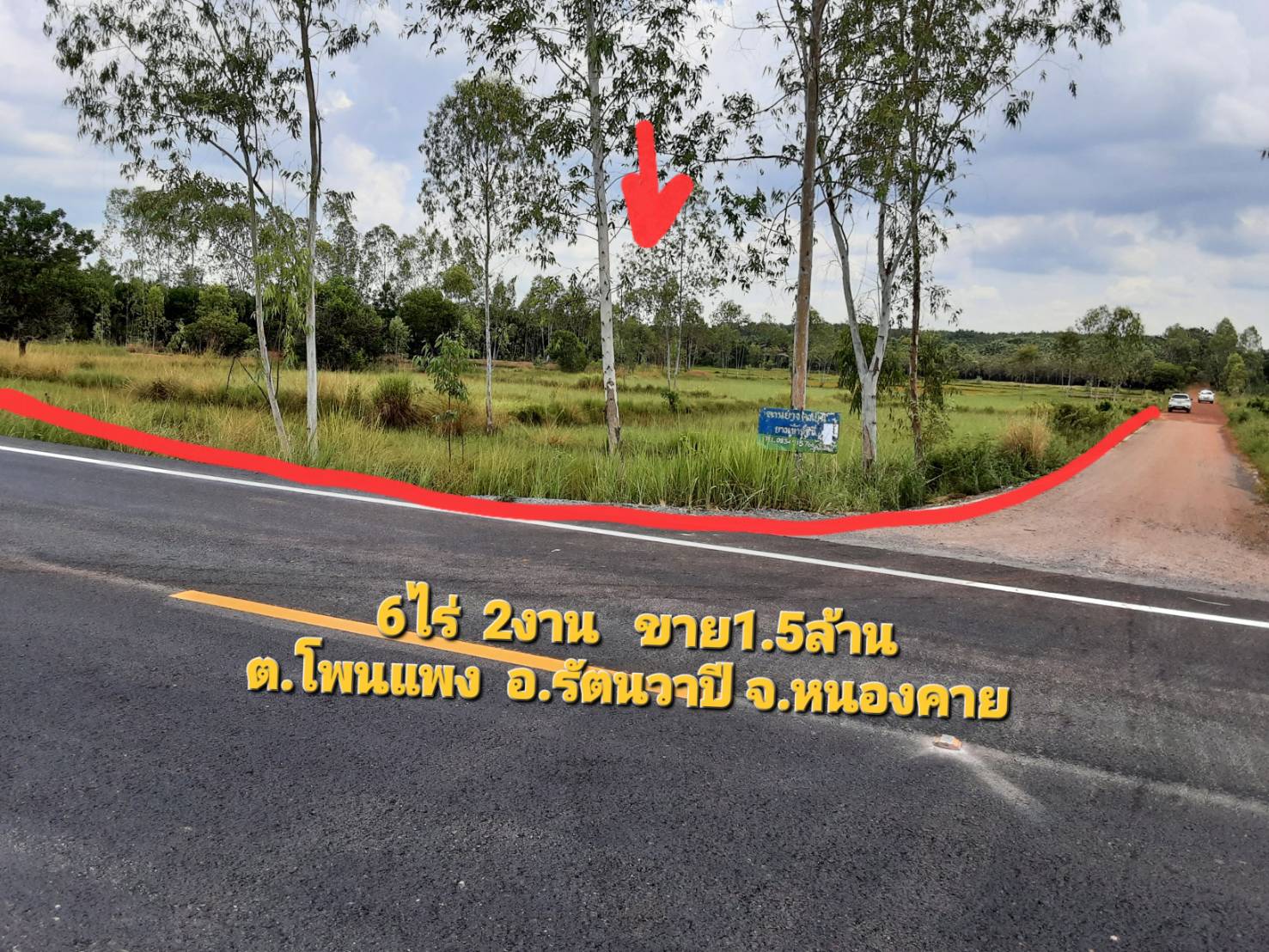 ขายที่ดิน 6-2-26 THB1,500,000 โพนแพง รัตนวาปี หนองคาย