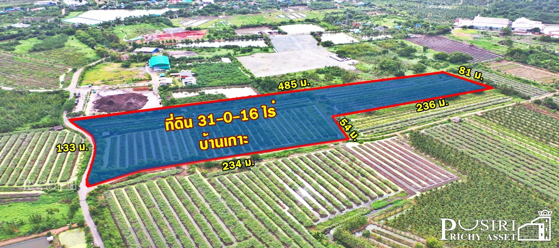 ที่ 31 ไร่ หน้ากว้าง 133 เมตร ราคาสุดคุ้ม เชื่อมต่อหลายเส้นทาง ถนนสวนส้ม บางปลา พระราม 2
