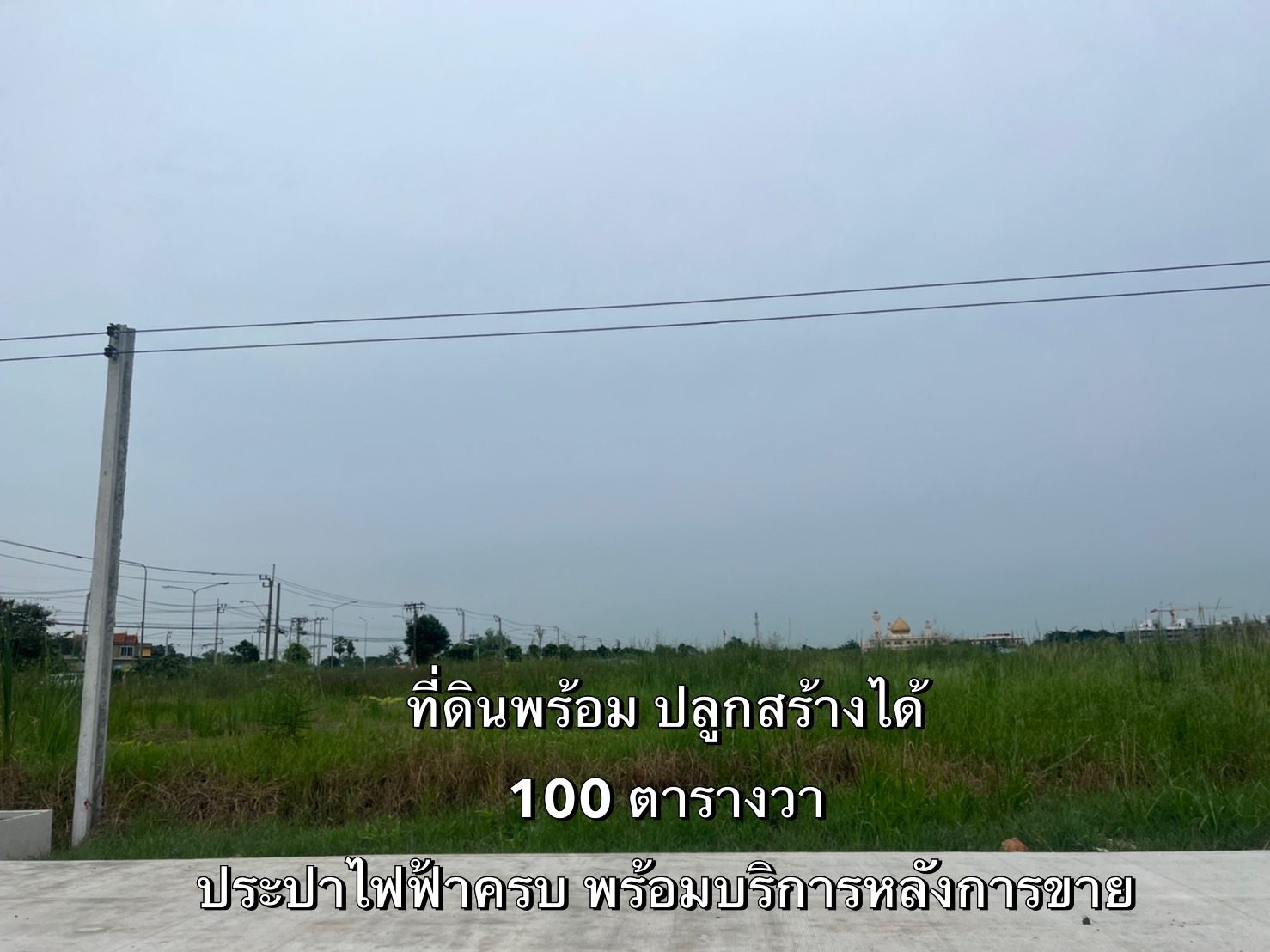 ขายด่วนแปลงเล็ก ติดถนน แหล่งชุมชน มีสาธารณูโภคน้ำประปาไฟฟ้าเข้าถึง