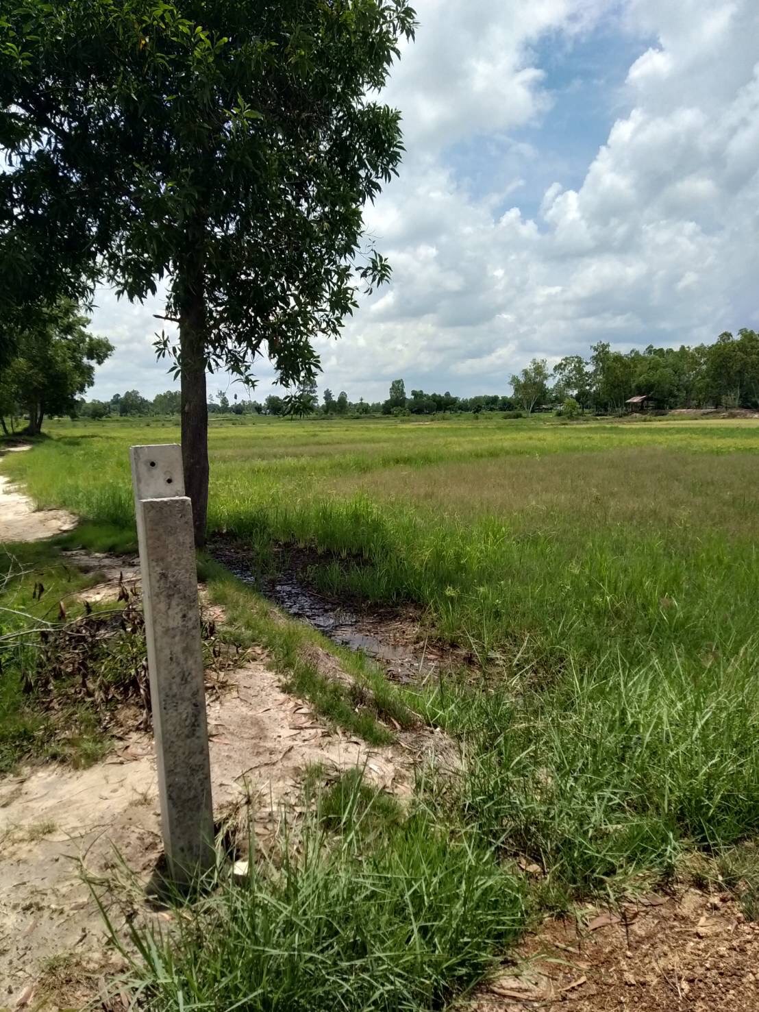 ขายที่ดิน 6-0-0 THB2,100,000 เชียงยืน,  เมือง, อุดรธานี