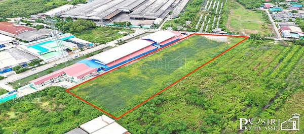 ที่สีม่วง ถมพร้อมใช้ 6 ไร่ สร้างโรงงานใหญ่ได้ทุกประเภท 7,000 ตร.ม. เทรลเลอร์เข้าออกสะดวก ใกล้ ถ . เศรษฐกิจ พุทธสาคร KK5114S