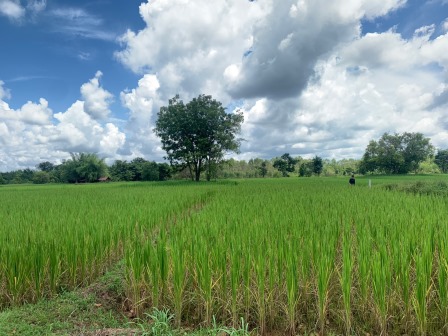 ขายที่ดิน 1-0-0 THB1,500,000 สามพร้าว เมือง อุดรธานี