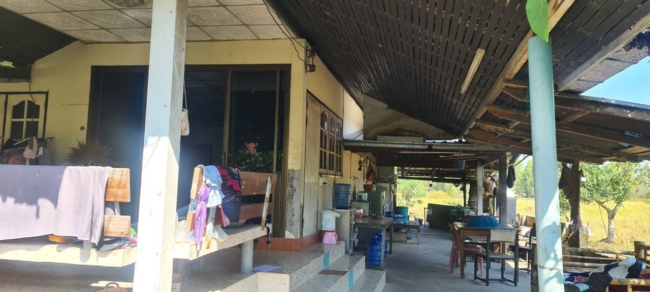 ขายที่ดิน 2-1-72 THB5,500,000 นาดี เมือง อุดรธานี