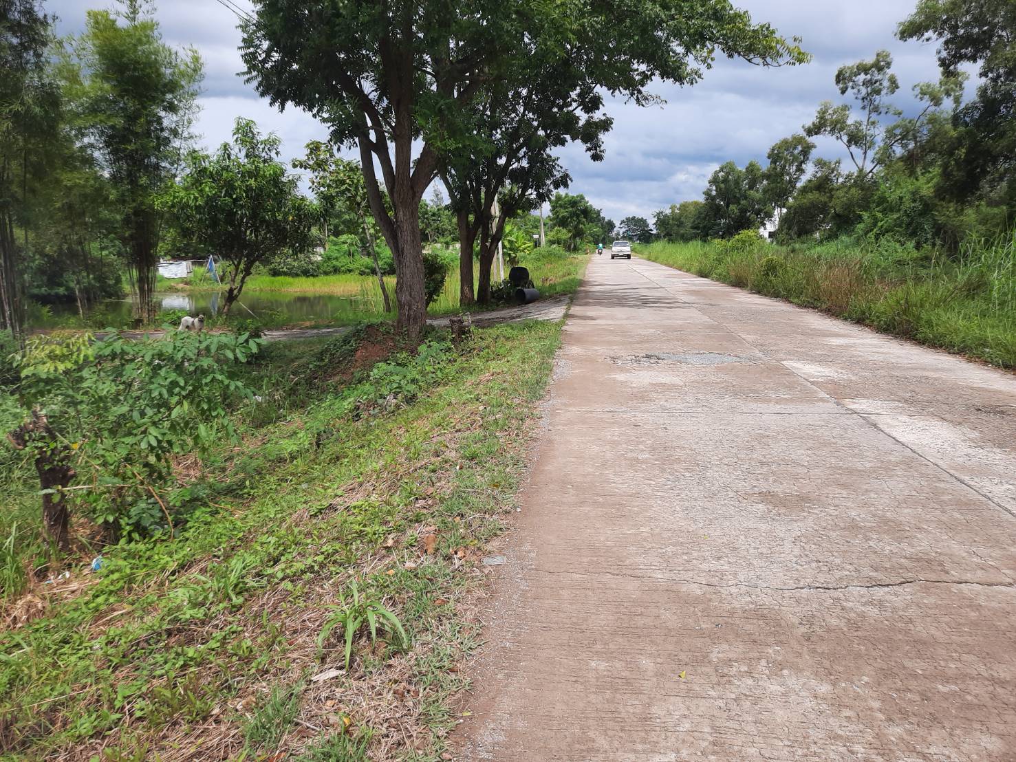 ขายที่ดิน 2-1-72 THB5,500,000 นาดี เมือง อุดรธานี