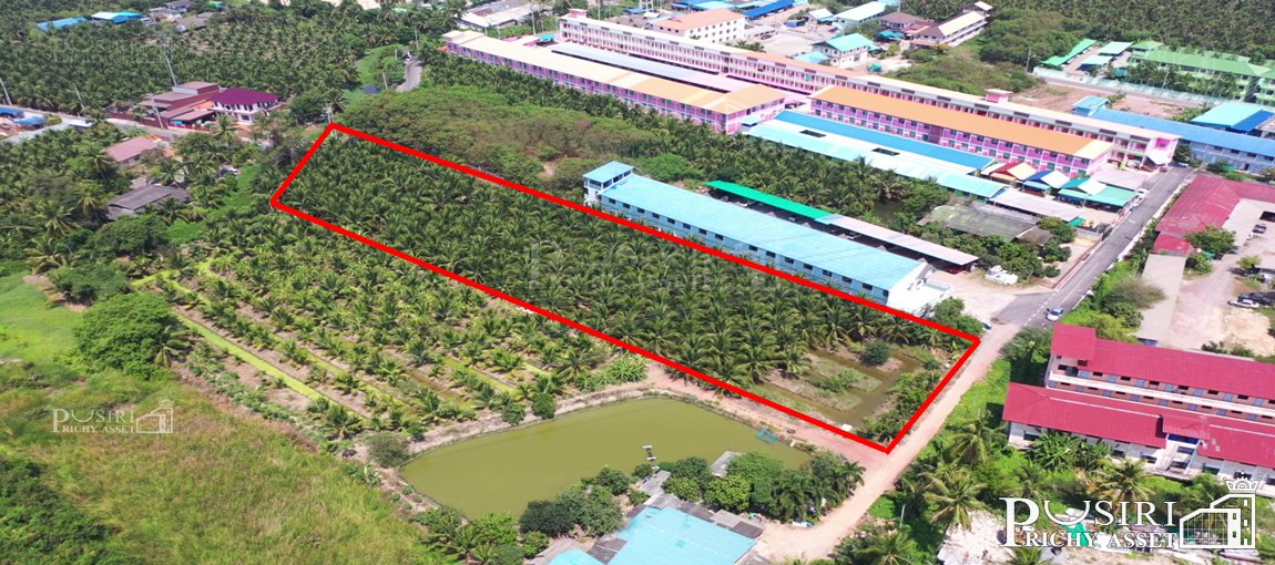 ที่ 4 ไร่เศษ ทำเลทองหลังนิคมสุทรสาคร ลงตัวทั้งทำโรงงานและกิจการหอพัก ราคาพิเศษ เชื่อมต่อถนนสวนส้ม-พระราม 2 ได้อย่างสะดวก 