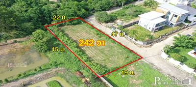 ขาย ที่ปลูกบ้าน 242 ตร.ว. ใกล้ ถ. บรม เพียง 188 ม. หน้า กว้างสวย 47 เมตร ติดตะวันออก สะดวก สบาย ด้วย Design Village / Starbuck/ กูเม่ ก่อนสาย 3 - kk5051s