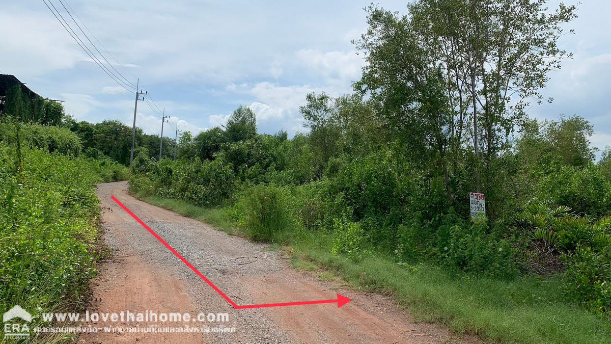 ขายที่ดิน ถนนโครงการบ้านสุนัขหอน นาโคก สมุทรสาคร ที่ดินถมแล้ว พื้นที่5-3-96ไร่ ที่ดินรูปแปลงสวย เหมาะสำหรับลงทุน