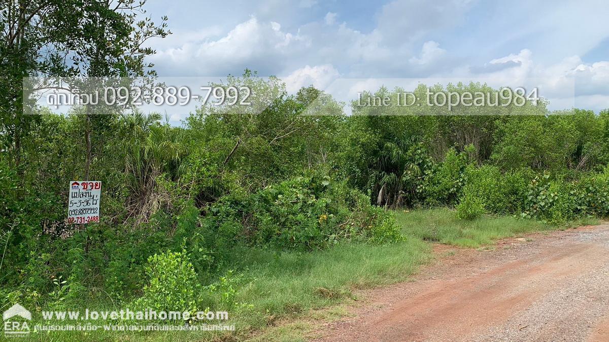 ขายที่ดิน ถนนโครงการบ้านสุนัขหอน นาโคก สมุทรสาคร ที่ดินถมแล้ว พื้นที่5-3-96ไร่ ที่ดินรูปแปลงสวย เหมาะสำหรับลงทุน