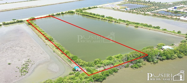 ที่สวยไร่ละ 2.6 ล้าน สร้างโรงงานได้ใกล้กรุงเทพ เกือบ 6 ไร่ ขอใบ รง.4 ได้ ใช้เทรลเลอร์เข้า-ออกสะดวก ด้วยเส้นบางขุนเทียน KK5156S