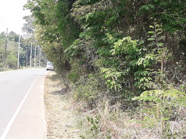 ด่วนมาก!! ขายที่สวย (ราคาต่ำกว่าราคาตลาด!!) ขนาดพื้นที่ 7 ไร่ 1 งาน 77 ตร.ว. ต.บ้านผือ, อ.บ้านผือ, จ.อุดรฯ 