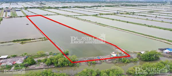 ขาย ที่สร้างโรงงานเกือบ 15ไร่ ขอใบ รง.4 ได้ ใกล้กรุงเทพ เทรลเลอร์เข้าสะดวก เส้นบางขุนเทียน - พันท้าย  KK5301S