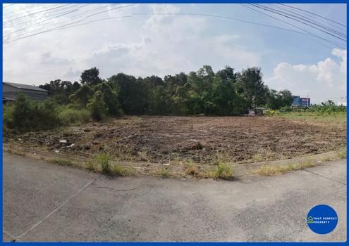 ขายที่ดิน ซอยลำลูกกา 21 (ซอยเทศบาลคูคต) ปทุมธานี เนื้อที่ 253 ตรว.