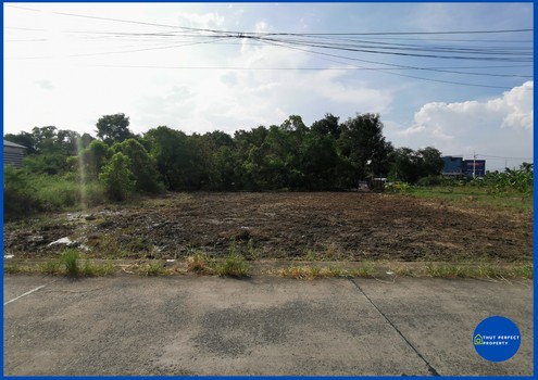 ขายที่ดิน ซอยลำลูกกา 21 (ซอยเทศบาลคูคต) ปทุมธานี เนื้อที่ 253 ตรว.
