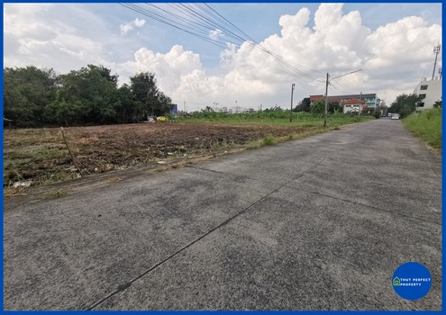 ขายที่ดิน ซอยลำลูกกา 21 (ซอยเทศบาลคูคต) ปทุมธานี เนื้อที่ 253 ตรว.