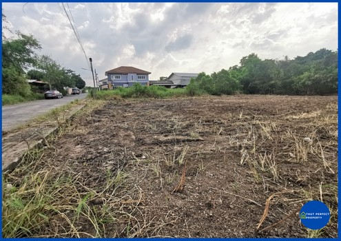ขายที่ดิน ซอยลำลูกกา 21 (ซอยเทศบาลคูคต) ปทุมธานี เนื้อที่ 253 ตรว.