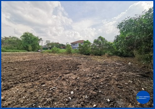 ขายที่ดิน ซอยลำลูกกา 21 (ซอยเทศบาลคูคต) ปทุมธานี เนื้อที่ 253 ตรว.