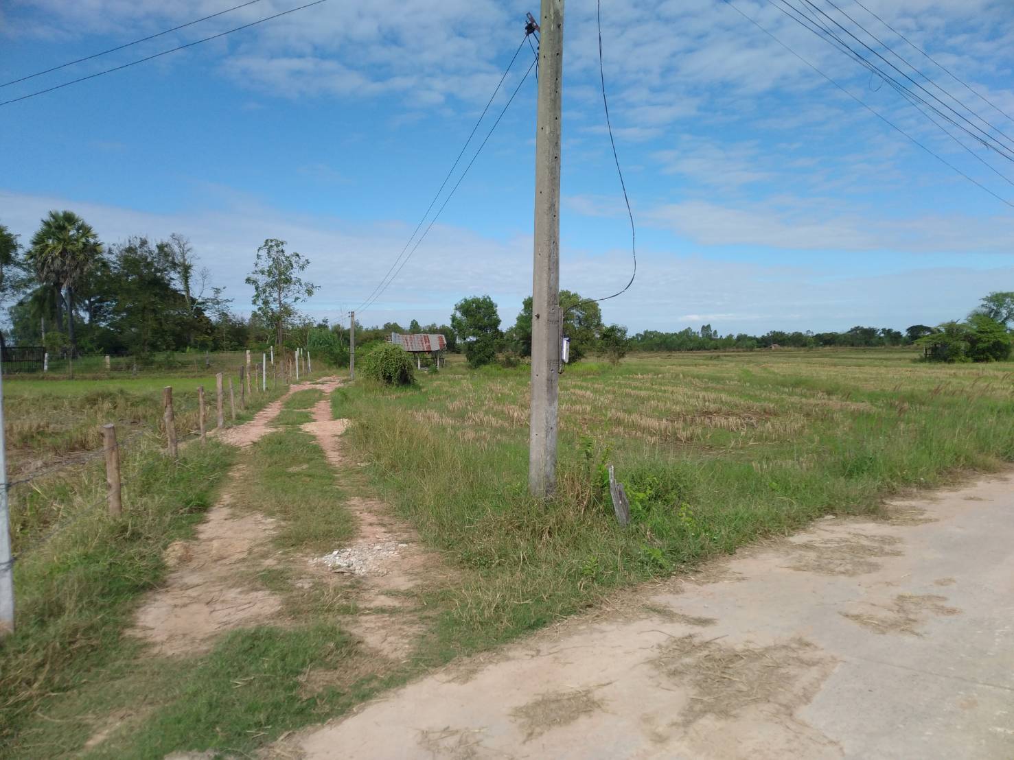 ขายที่ดิน 6-3-20.3 THB3,400,375 นิคมสงเคราะห์ เมือง อุดรธานี