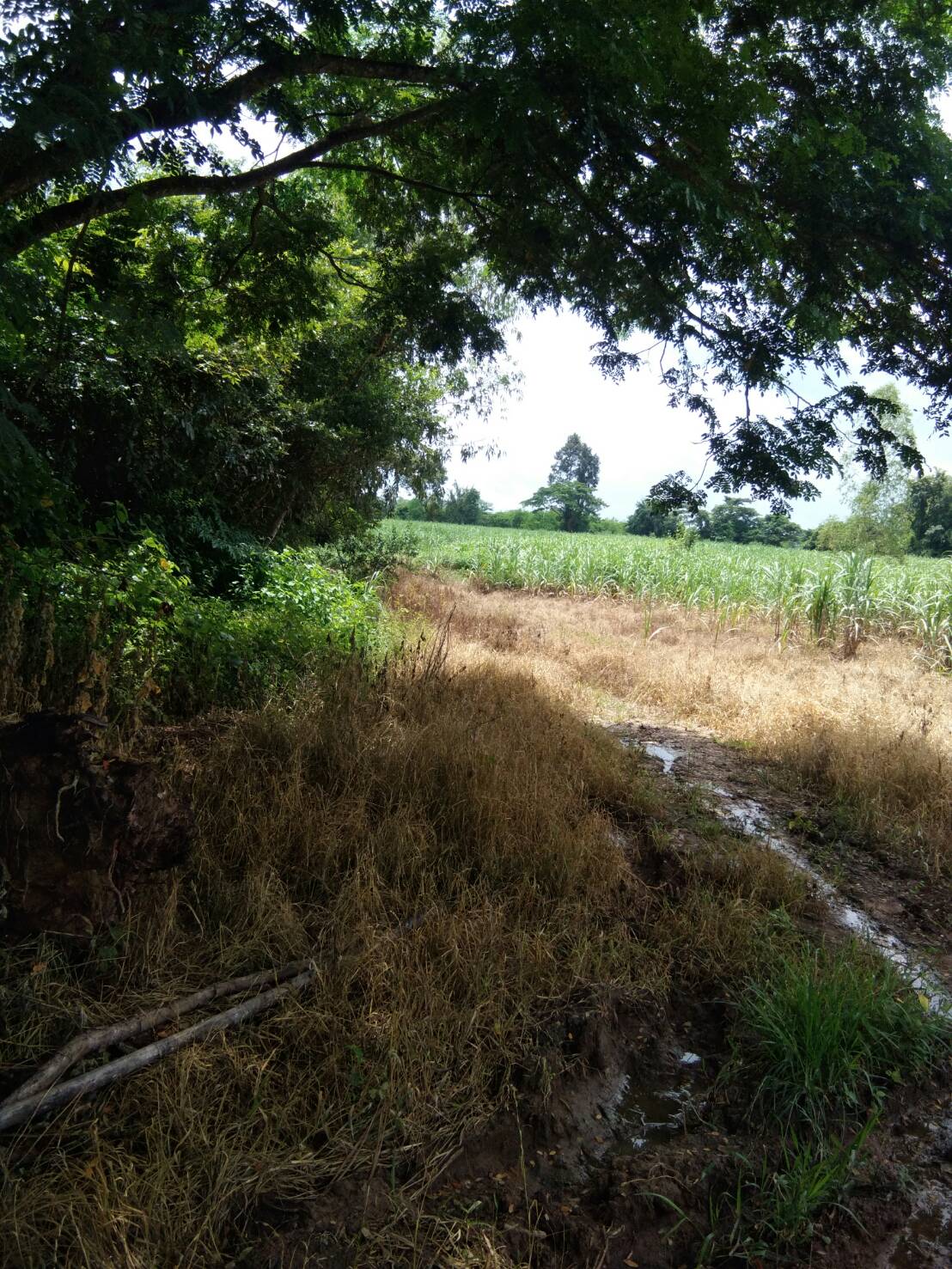 ขายที่ดิน 10-0-0 THB2,500,000 นิคมสงเคราะห์ เมือง อุดรธานี