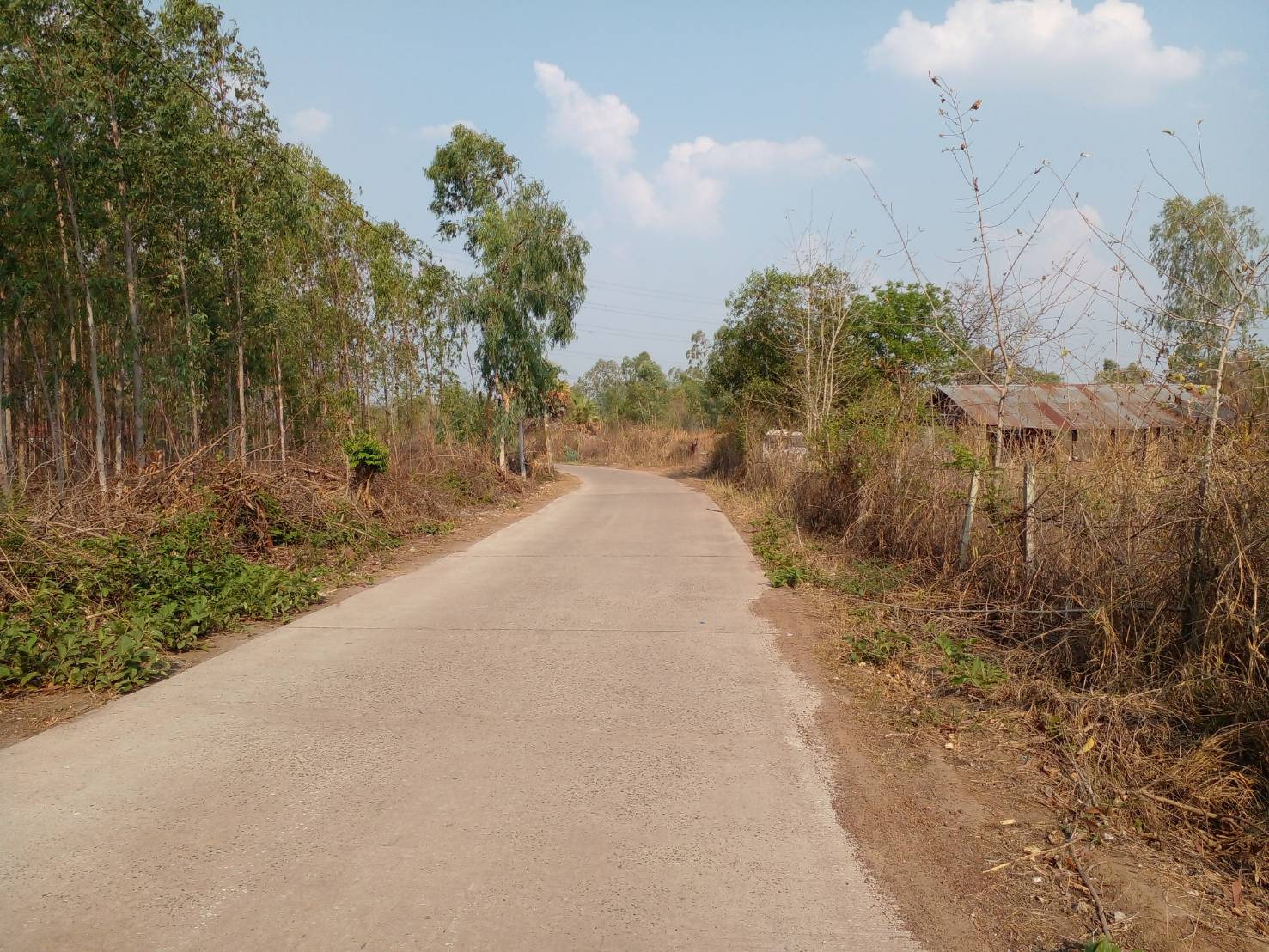 ขายที่ดิน 1-0-17 THB700,000 หนองบัว เมือง อุดรธานี