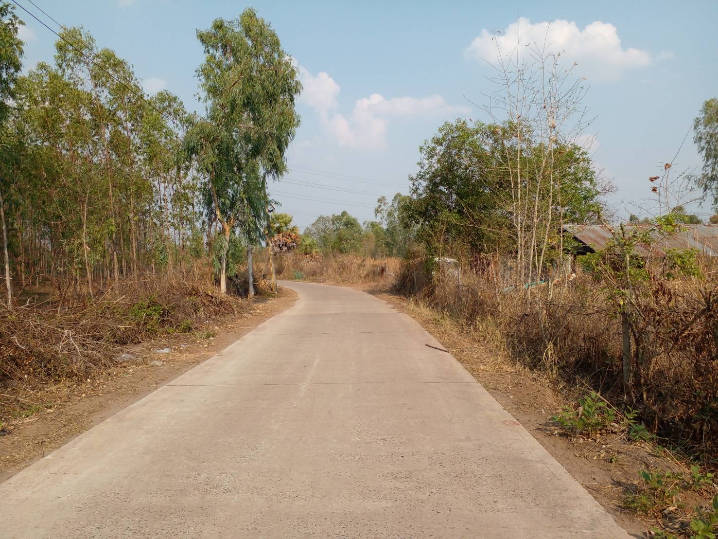 ขายที่ดิน 1-0-17 THB700,000 หนองบัว เมือง อุดรธานี