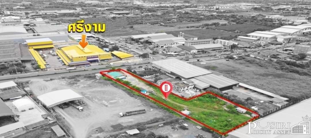 ที่สวยถมแล้ว ทำเลสุดปัง ระดับ 5 ดาว เนื้อที่ 983.1 วา ติดถนนเศรษฐกิจ ใกล้ถนนตัดใหม่ กัลปพฤกษ์ ราคาคุ้มค่า 