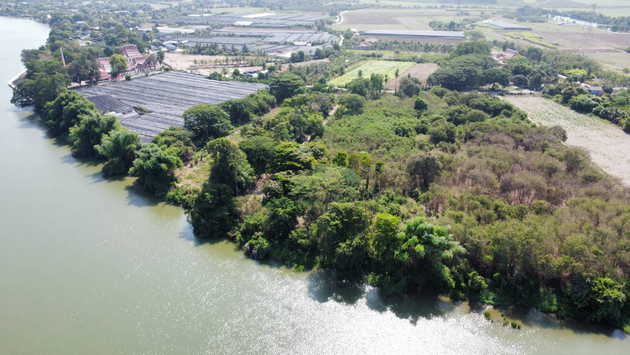 ขายที่ดินแปลงสวยริมแม่น้ำแม่กลอง ตำบลท่าราบ อำเภอเมืองราชบุรี จังหวัดราชบุรี 