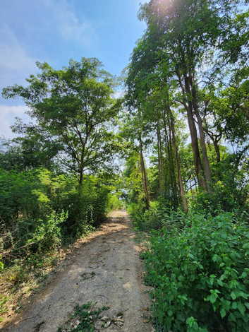 ขายที่ดินแปลงสวยริมแม่น้ำแม่กลอง ตำบลท่าราบ อำเภอเมืองราชบุรี จังหวัดราชบุรี 