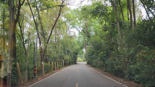 ขายที่ดินแปลงสวยริมแม่น้ำแม่กลอง ตำบลท่าราบ อำเภอเมืองราชบุรี จังหวัดราชบุรี 