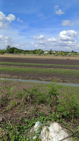 พื้นที่ดิน ที่ดิน บางเดื่อ ใกล้ถนนราชพฤกษ์ ตัดใหม่ ปทุมธานี ไม่ไกลจาก ใกล้ถนนราชพฤกษ์ ตัดใหม่ ปทุมธานี 8000000 บาท  พื้นที่ 11 RAI 1 Ngan 76 SQ.WA DEAL!!