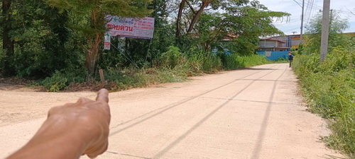 ขายที่ดิน 1 ไร่ หน้ากว้าง 24 เมตร ลึก 70  เมตร ภายในที่ดินปลูกต้นสัก และ ต้นยางนา ทำเลดี อยู่ใกล้ชุมชน ติดถนนคอนกรีตเส้นวัดพิกุลทอง