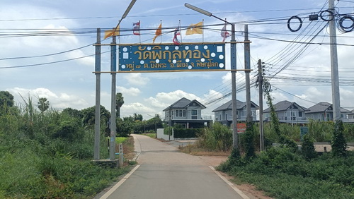 ขายที่ดิน 1 ไร่ หน้ากว้าง 24 เมตร ลึก 70  เมตร ภายในที่ดินปลูกต้นสัก และ ต้นยางนา ทำเลดี อยู่ใกล้ชุมชน ติดถนนคอนกรีตเส้นวัดพิกุลทอง