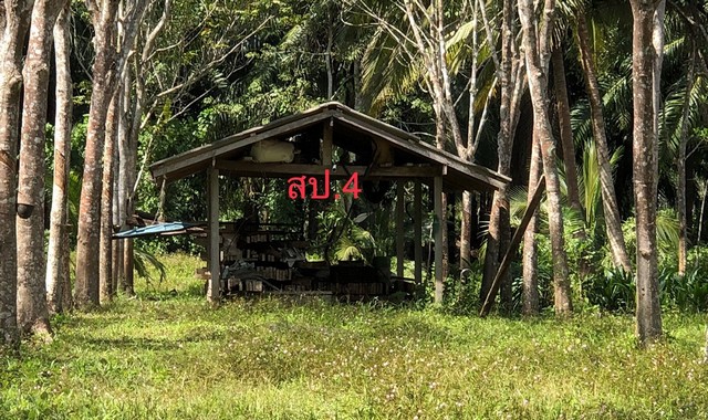 ขายบ้านเดี่ยวใกล้ โรงพยาบาลคีรีรัฐนิคม อำเภอคีรีรัฐนิคม จังหวัดสุราษฎร์ธานี PKK02-09947