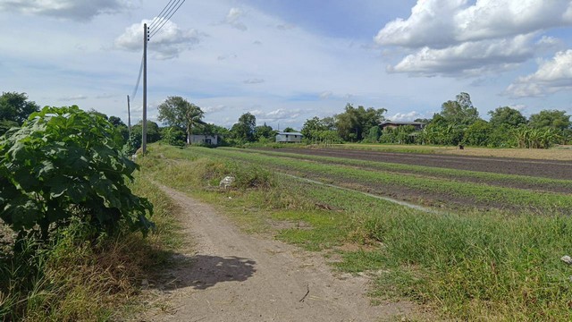 ที่ดิน ที่ดิน บางเดื่อ ใกล้ถนนราชพฤกษ์ ตัดใหม่ ปทุมธานี ขนาด 76 ตร.ว. 1 NGAN 11 RAI  ใกล้ ใกล้ถนนราชพฤกษ์ ตัดใหม่ ปทุมธานี ทรัพย์สวย ปทุมธานี   