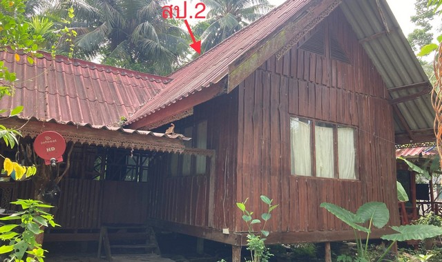 ขายบ้านเดี่ยวใกล้ โรงพยาบาลเกาะพะงัน อ.เกาะพะงัน จ.สุราษฎร์ธานี PKK02-14738