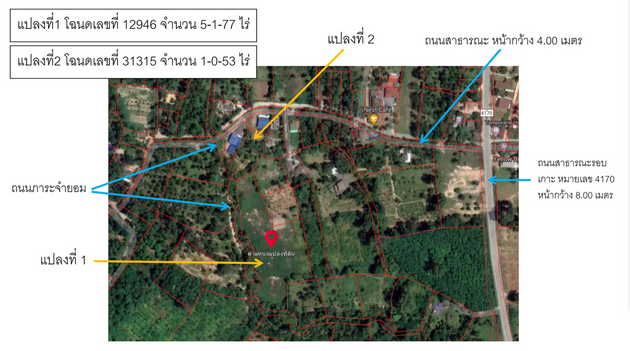 ขายที่ดิน 2 แปลงติดกัน ต.ตลิ่งงาม อ.เกาะสมุย จ.สุราษฎร์ธานี (เจ้าของขายเอง)