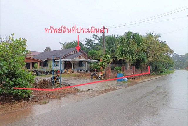 ขายบ้านเดี่ยวใกล้ โรงพยาบาลบ้านนาสาร อำเภอบ้านนาสาร จังหวัดสุราษฎร์ธานี PKK02-15108