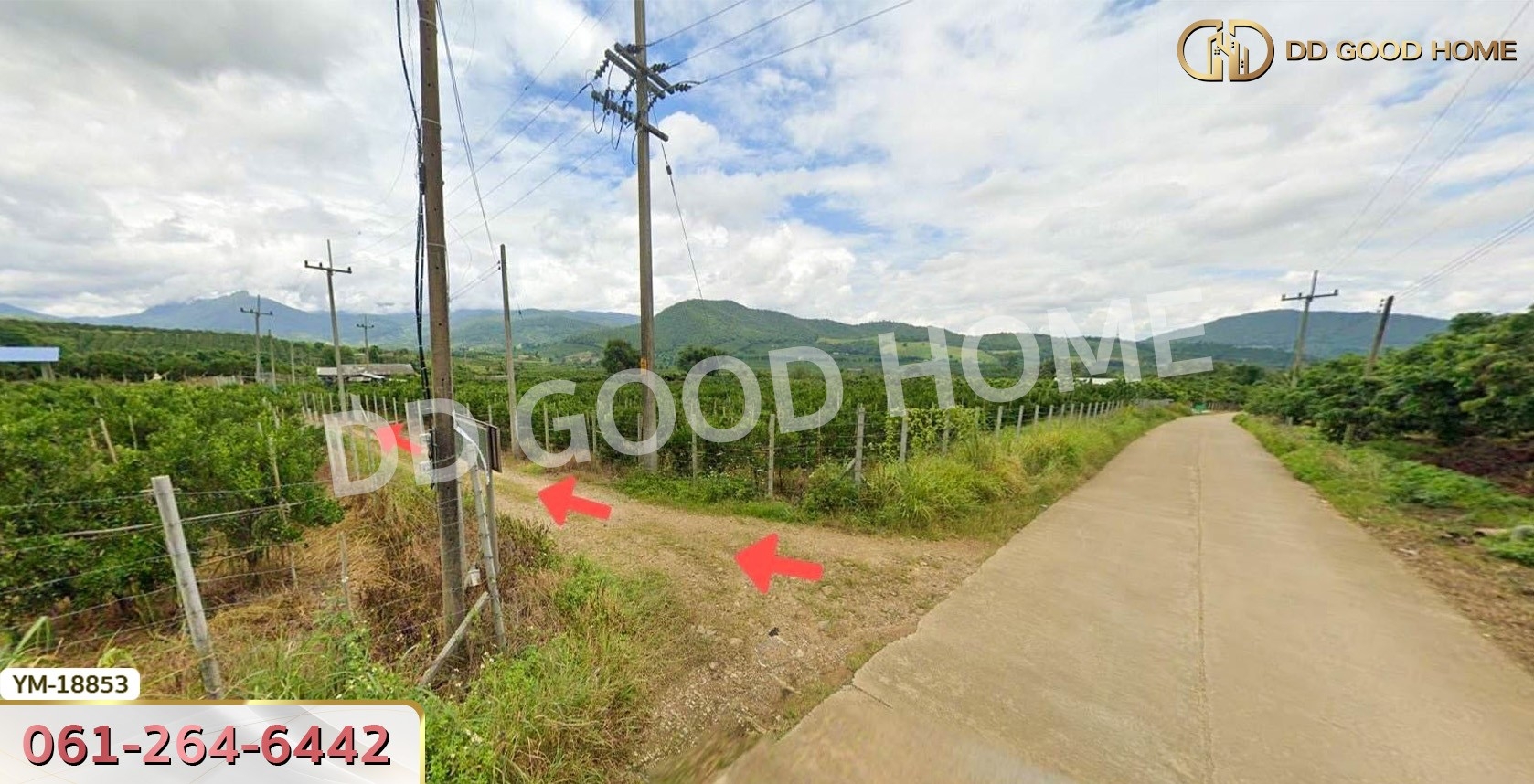 ที่ดิน อ.ฝาง 8 ไร่ 272 ตร.ว. เชียงใหม่