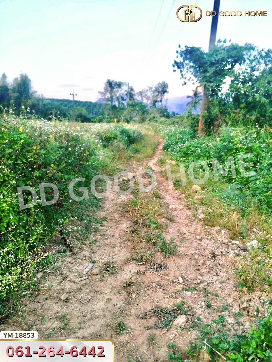 ที่ดิน อ.ฝาง 8 ไร่ 272 ตร.ว. เชียงใหม่