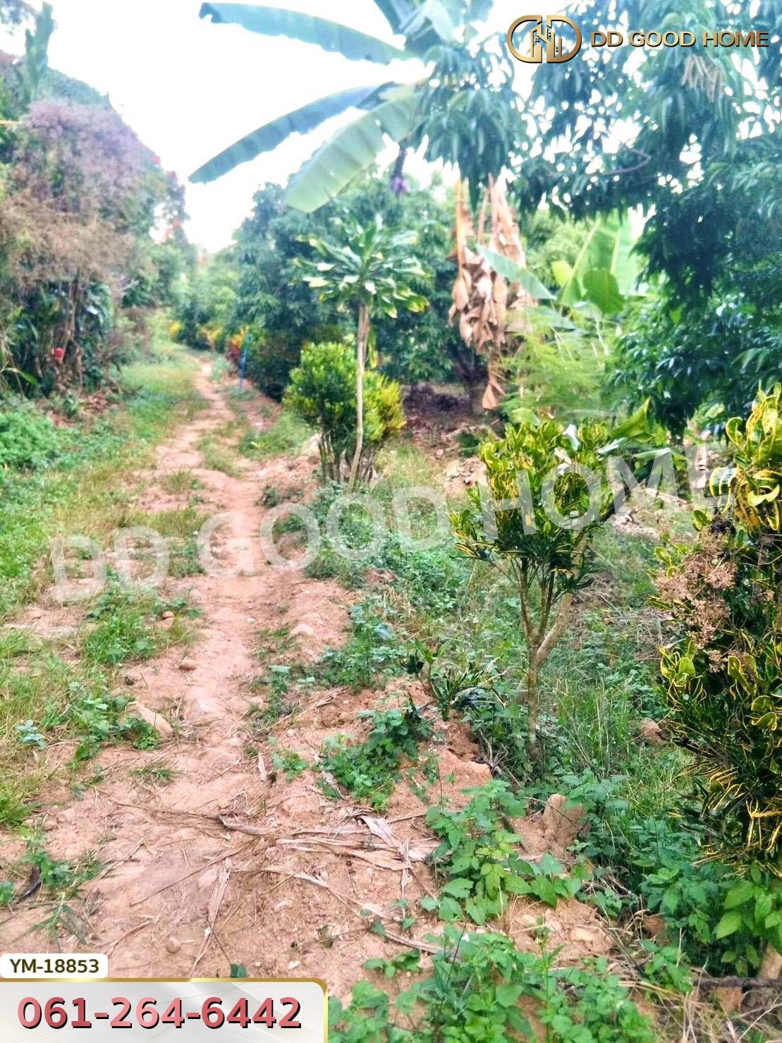 ที่ดิน อ.ฝาง 8 ไร่ 272 ตร.ว. เชียงใหม่