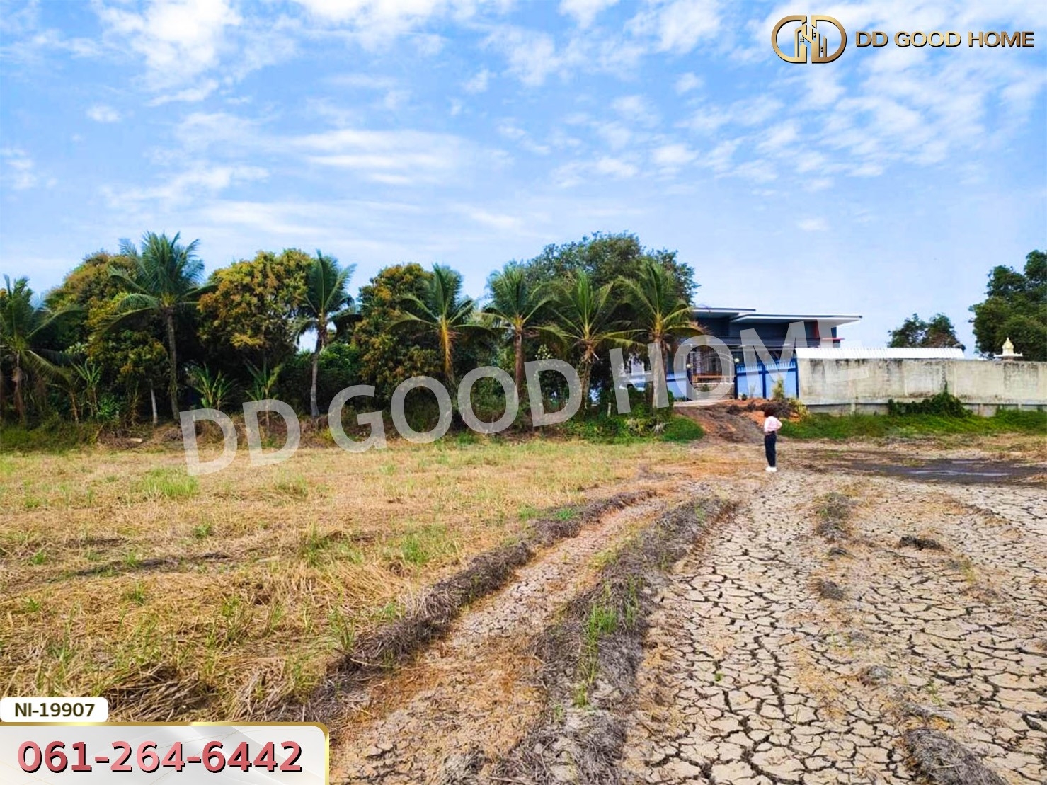 ที่ดิน อ.เมืองปราจีนบุรี 41 ไร่ 250 ตร.ว. ถ.คลองหลวงแพ่ง - ปราจีนบุรี