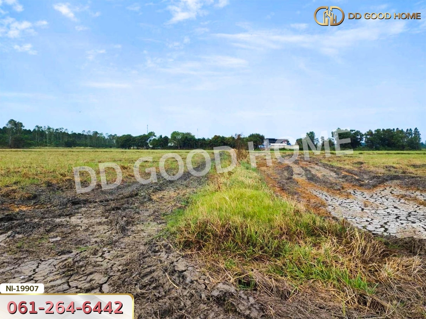 ที่ดิน อ.เมืองปราจีนบุรี 41 ไร่ 250 ตร.ว. ถ.คลองหลวงแพ่ง - ปราจีนบุรี