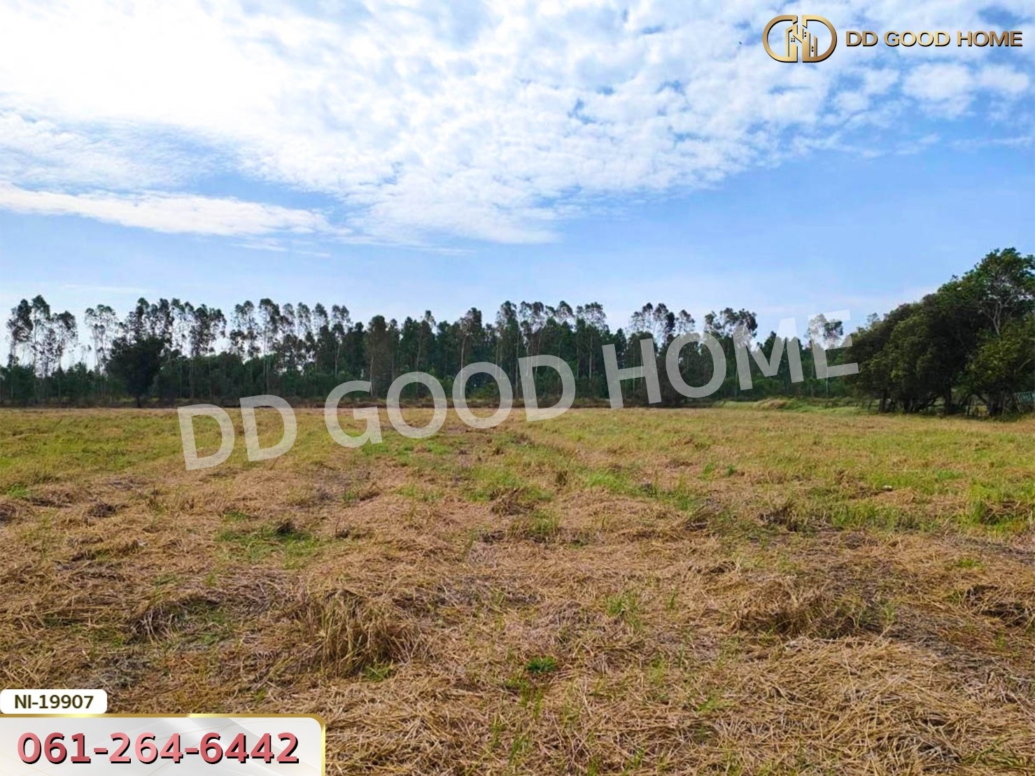 ที่ดิน อ.เมืองปราจีนบุรี 41 ไร่ 250 ตร.ว. ถ.คลองหลวงแพ่ง - ปราจีนบุรี