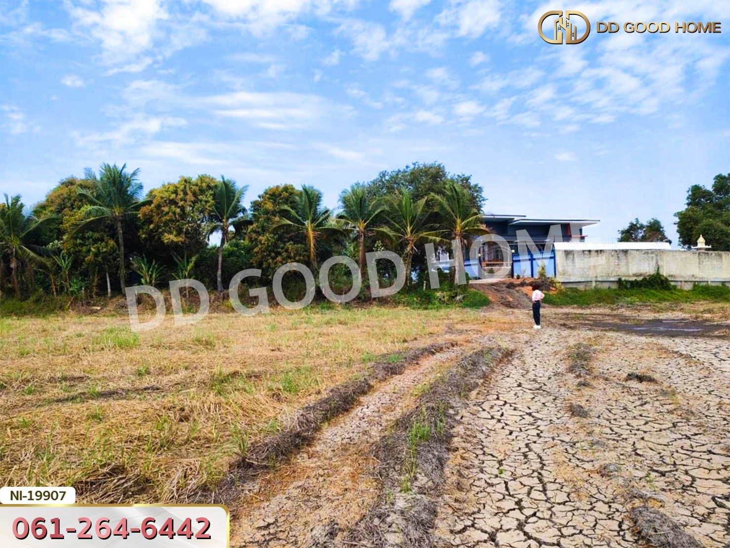 ที่ดิน อ.เมืองปราจีนบุรี 41 ไร่ 250 ตร.ว. ถ.คลองหลวงแพ่ง - ปราจีนบุรี