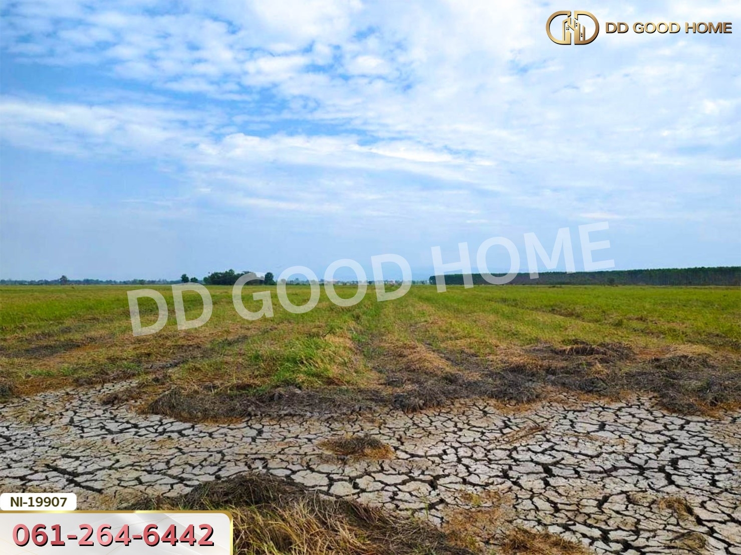 ที่ดิน อ.เมืองปราจีนบุรี 41 ไร่ 250 ตร.ว. ถ.คลองหลวงแพ่ง - ปราจีนบุรี